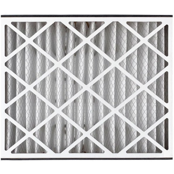 Trion Air Bear 255649-102 - Pleated Air Filter 20"x25"x5" MERV 8