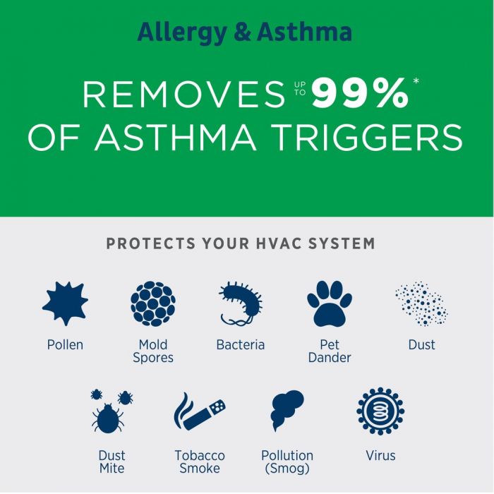 air filter for asthma